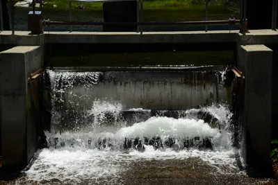 DSC_9989 (Large).JPG